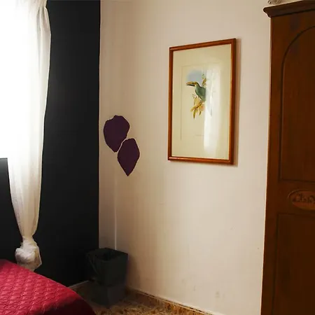 Gæstehus Alcaravaneras (adults Only) 2*